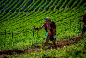 BIB: 
                            <button type="button" onclick="openModal(19161191)" class="btn btn-primary btn-sm float-right btn-popup" data-toggle="modal" data-target=".modal-high-quality">
                        <i class="fas fa-shopping-cart"></i> Add to Cart
                    </button>
                                            <button type="button" onclick="isThisMe(19161191, true)" class="btn btn-success btn-sm float-right btn-popup btn-isme hidden" data-toggle="tooltip" data-placement="bottom" title="นี่คือรูปของคุณใช่ไหม คลิกที่นี่เพื่อเอาเข้าอัลบั้ม">
                        <i class="fas fa-plus"></i> Add to album
                    </button>
                    <button type="button" onclick="isThisMe(19161191, false)" class="btn btn-warning btn-sm float-right btn-popup btn-isnotme hidden">
                        <i class="fas fa-ban"></i> Remove from album
                    </button>